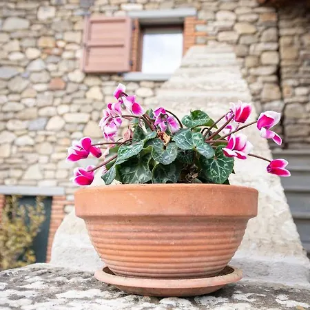 Frühstückspension Casa Del Pietro