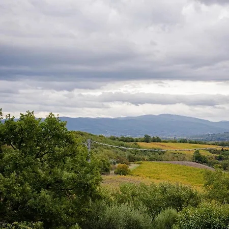 Casa Del Pietro Frühstückspension Pieve San Giovanni